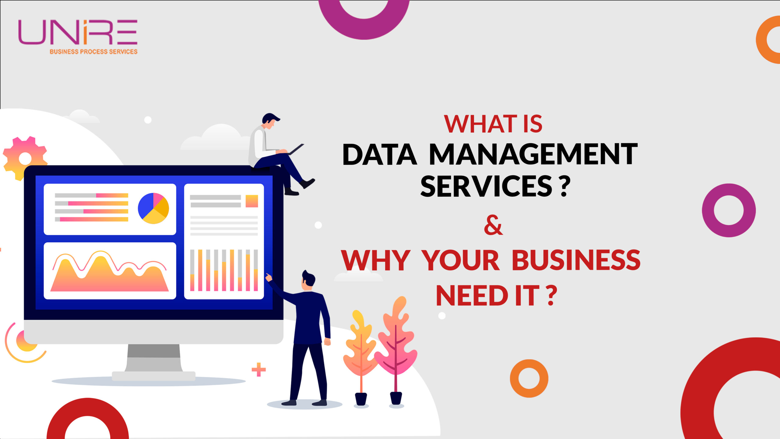 What Is Data Management Services & Why Your Business Need It